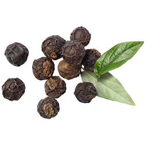 The image shows whole black peppercorns alongside a couple of fresh green leaves. The peppercorns are dark, wrinkled spheres, each about the size of a pea, with a coarse, rugged surface. Black pepper is widely recognized for its warming properties, which can help stimulate circulation and support muscle relief—making it a fitting ingredient in recovery-focused formulations.
