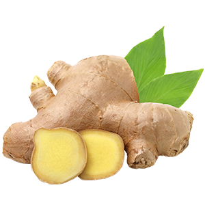 The image shows a fresh ginger rhizome with two green leaves behind it. The ginger root is light brown with a knobby, irregular shape, and two slices reveal its vibrant yellow interior. Ginger is well known for its warming sensation and anti-inflammatory properties, making it a common ingredient in muscle recovery and soothing formulations.