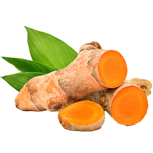 The image shows fresh turmeric root, some whole and some sliced to reveal its vibrant orange interior. Behind the turmeric are a few green leaves, likely from the turmeric plant, adding a natural and fresh feel. The bright orange color signals its well-known anti-inflammatory and antioxidant properties, often highlighted in health and wellness contexts.